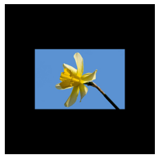 изображения_цветок_растянуть.png